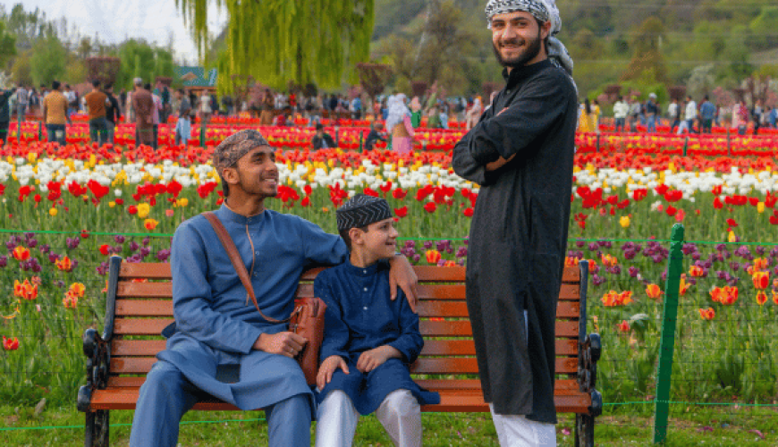 Tulip Garden Kashmir