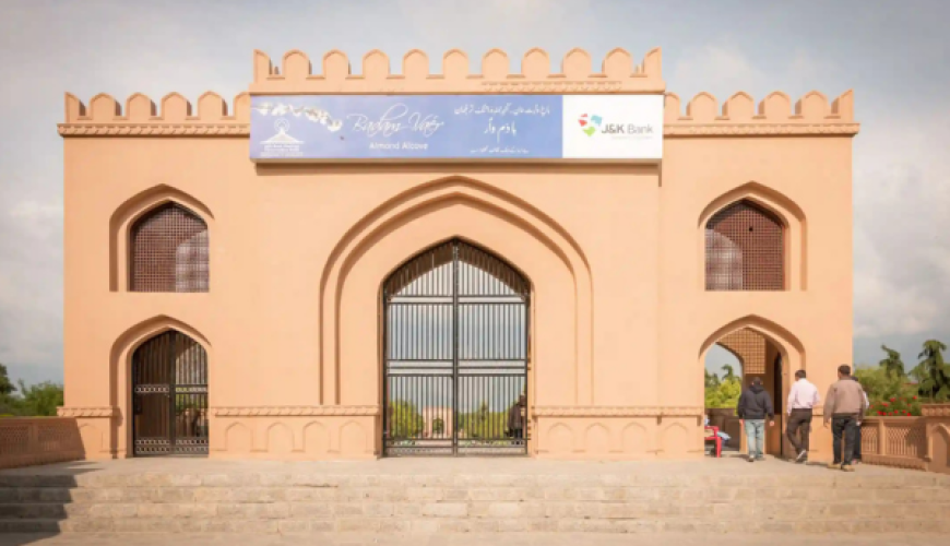 Badamwari (Almond Garden) Srinagar