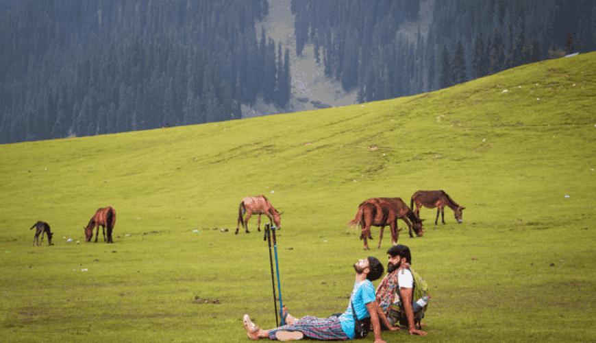 Bangus-Medows-Kashmir, India