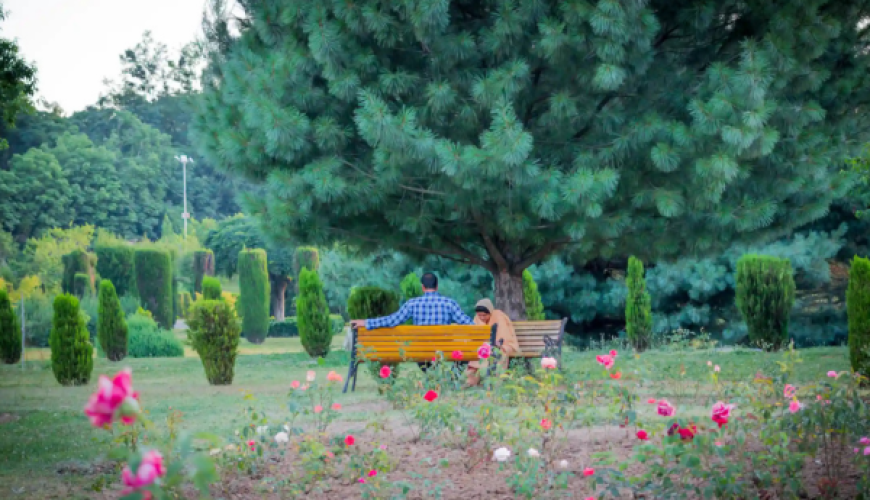 Botanical Garden Srinagar | Jawaharlal Nehru Memorial Botanical Garden