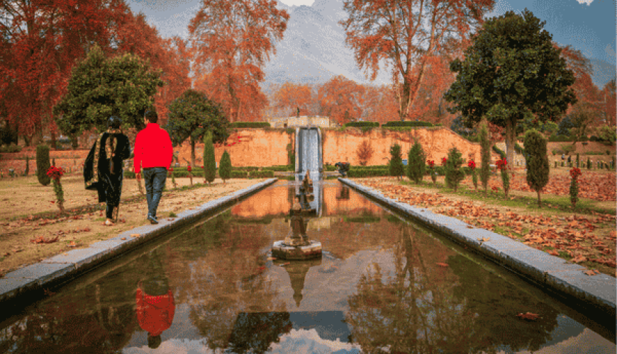 Nishat Bagh Kashmir