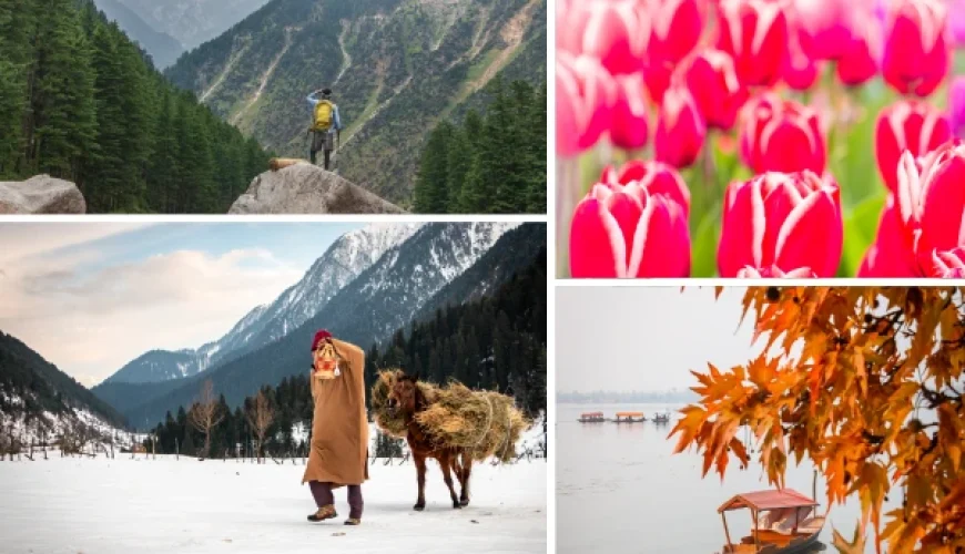 Four Seasons of Kashmir