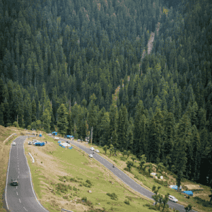 Sinthan-Top-On-The-Way